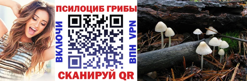 Галлюциногенные грибы Magic Shrooms  цена наркотик  omg как зайти  Барыш 
